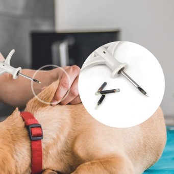 RFID 주사용(피하) 칩