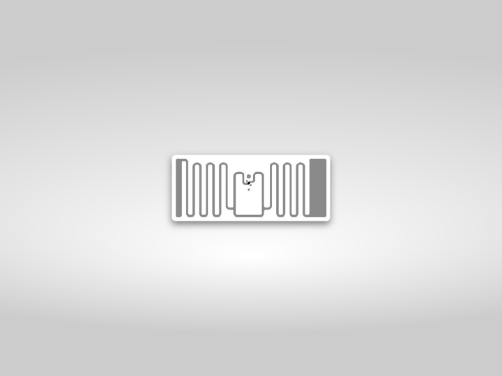 Alien RFID Tag - HiScan 이미지